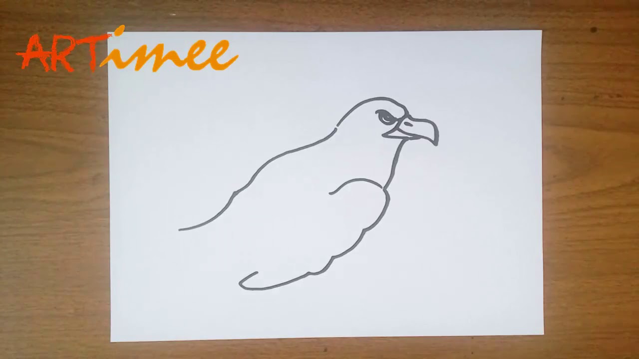 Drawing  a Hawk in Easy way!