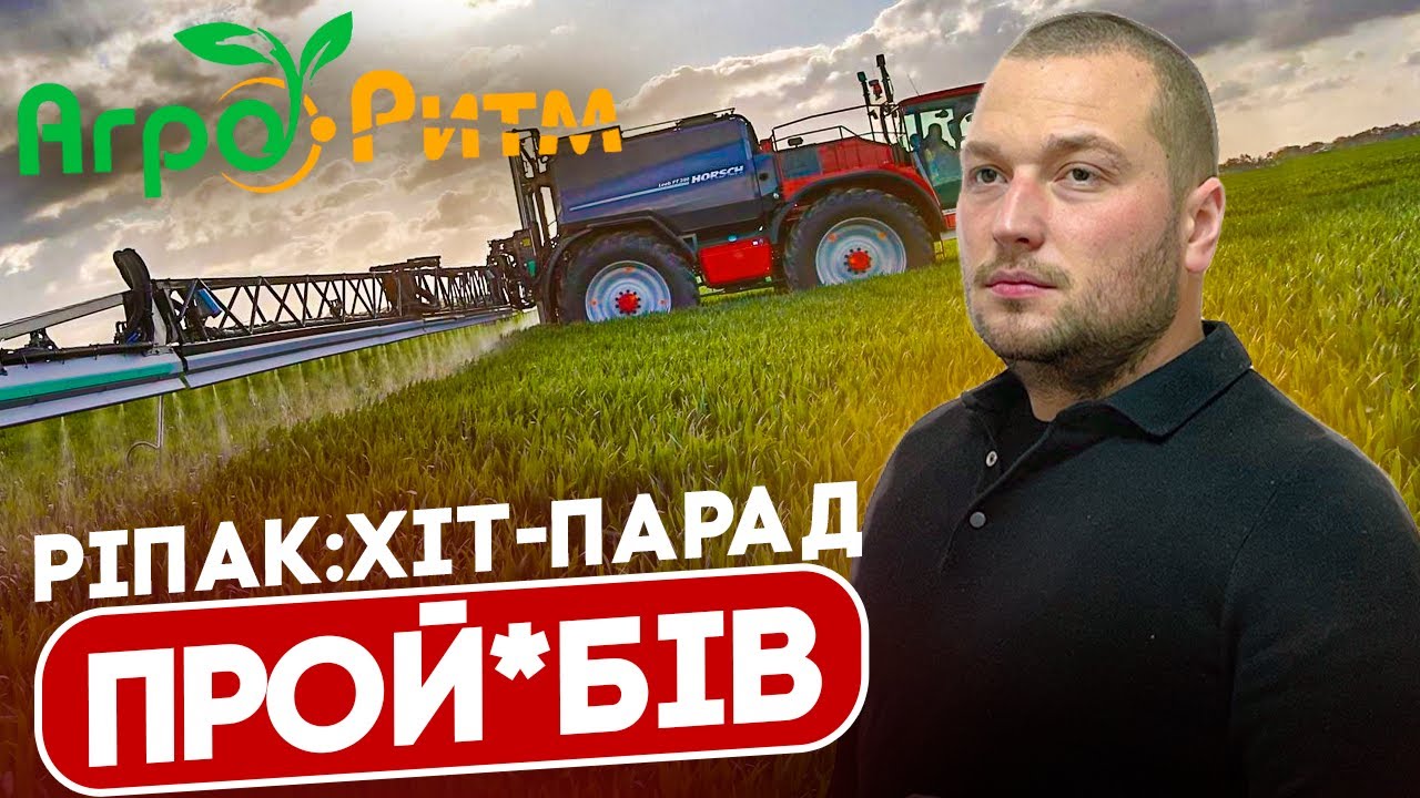 СКЛАДНА ТЕХНОЛОГІЯ ВИРОЩУВАННЯ РІПАКУ | УСПІХИ | ПРОЙ*ОБИ |ПЕРШІ ВИСНОВКИ