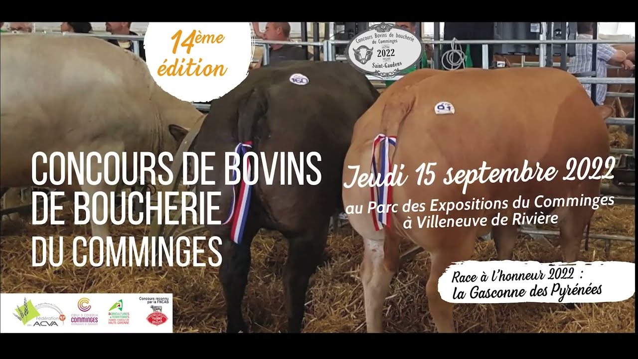 | CONCOURS DE BOVINS DE BOUCHERIE 🐂