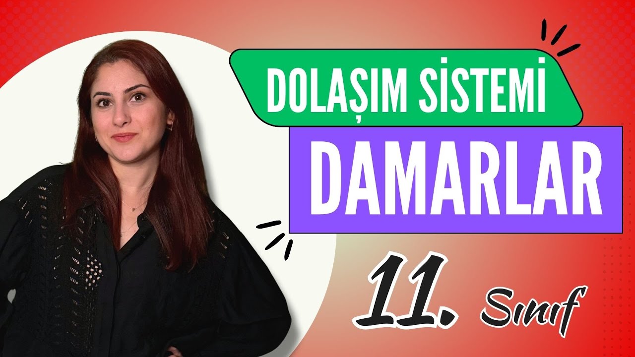 18) DAMARLAR - DOLAŞIM SİSTEMİ 2 | 11. SINIF | AYT BİYOLOJİ DERS NOTLARI | 2024