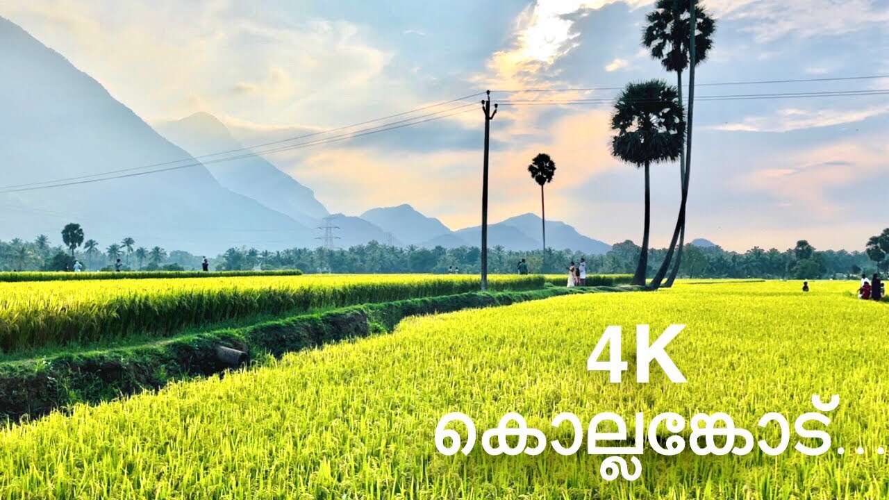 Kollengod| palakkad |kerala|Best Tourist Place in Palakkad|Trending vedio |Fork n knife journey