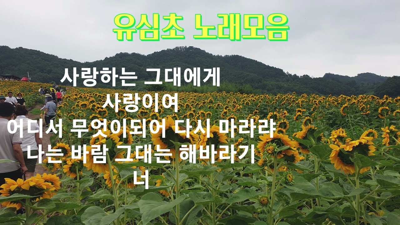 #유심초 #노래모음