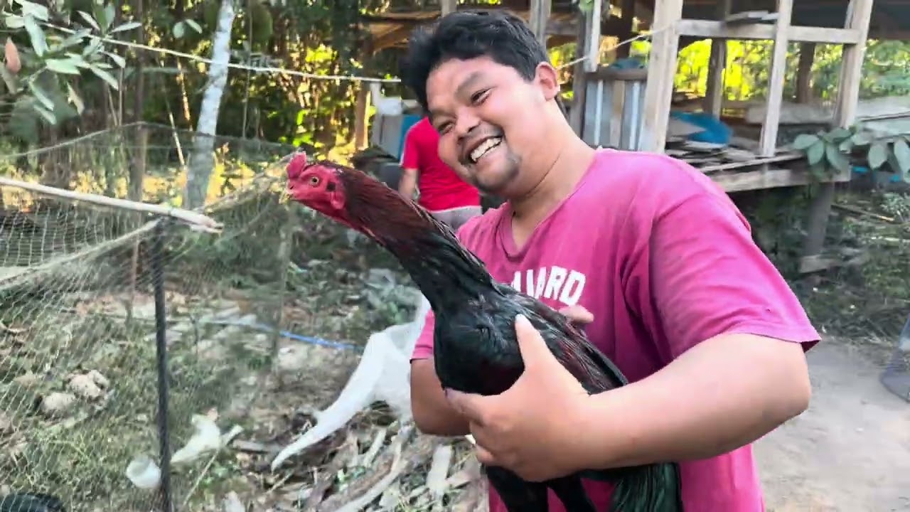 เสนอ ตอน ออกกำลังกายไก่ชน