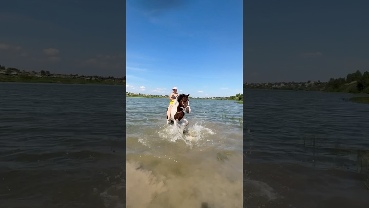 Bathing the Spotted Horse