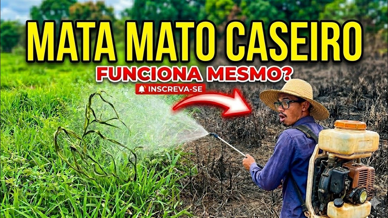 ✅COMO fazer MATA MATO CASEIRO (Passo a Passo) 🌱🥀