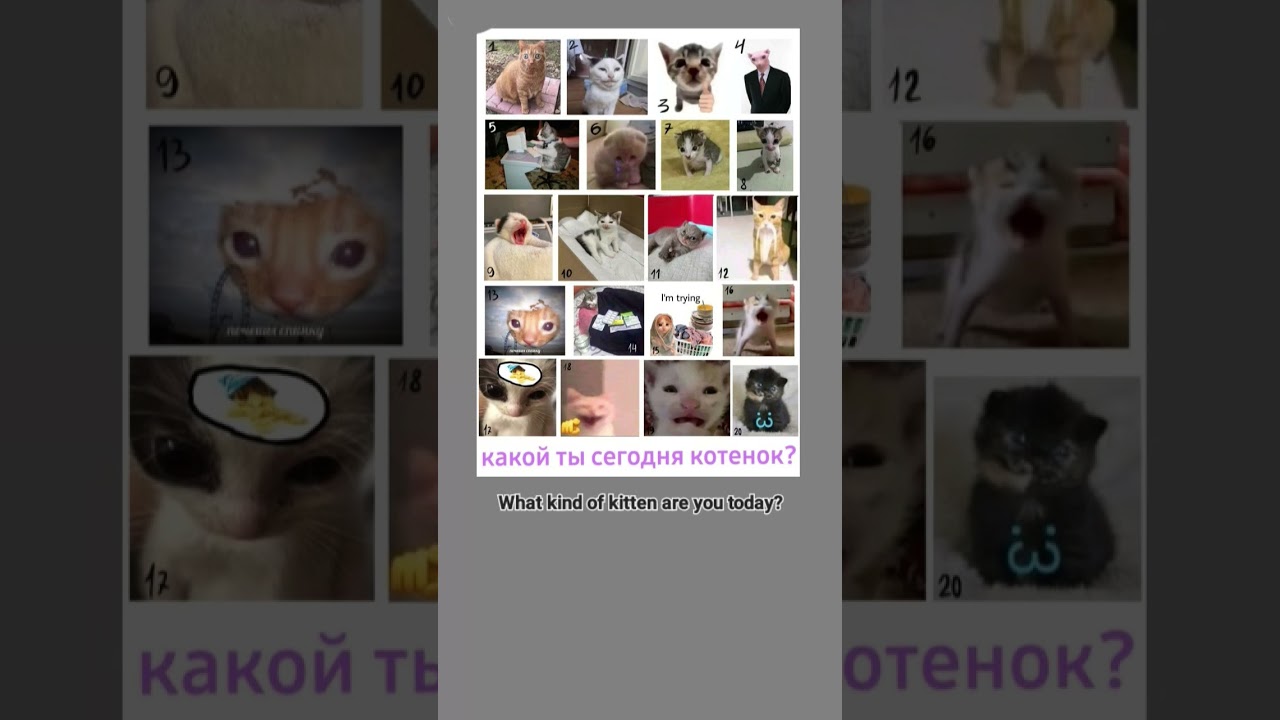 пиши в комментариях 