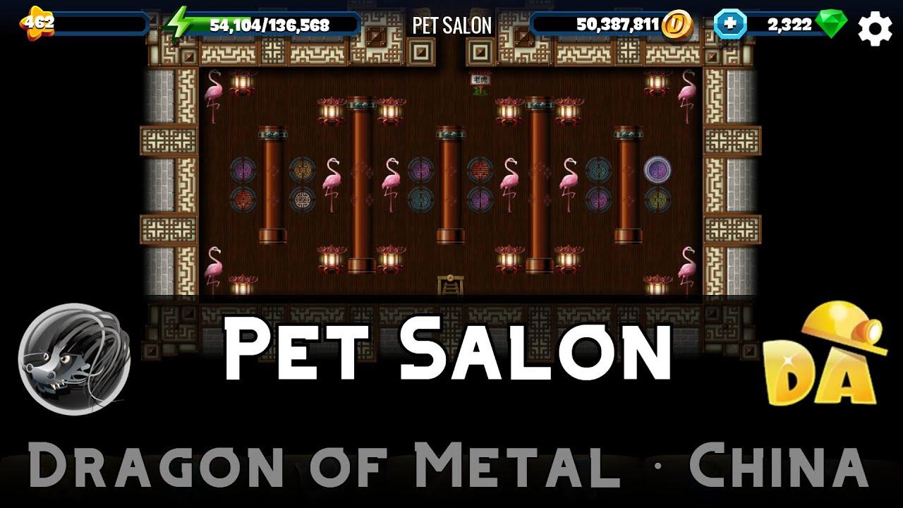 Pet Salon | Dragon of Metal #14 | Diggy's Adventure