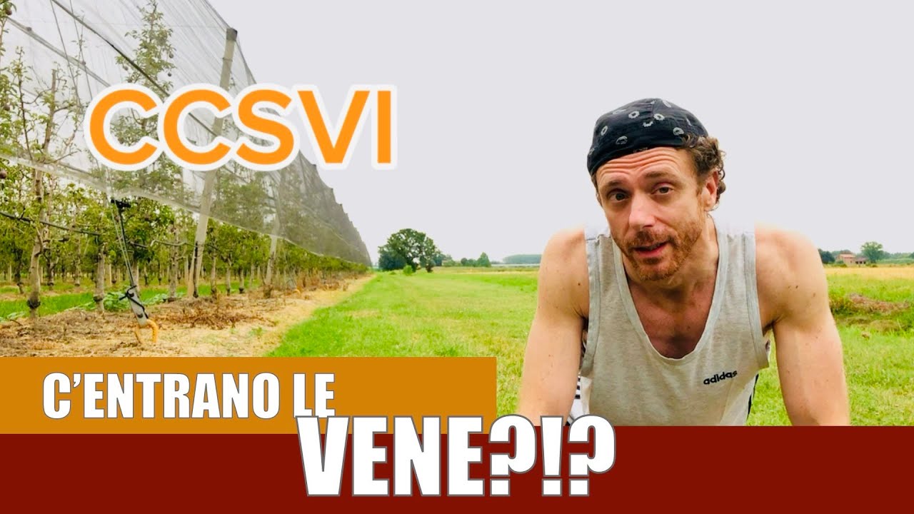 ZAMBONI E LA CCSVI