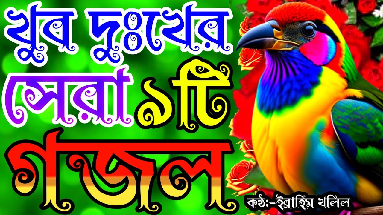 পাগল করা সুরে সকলের মন জয় করা খুব দুঃখের ৯টি গজল | gojol | new gojol | new islamic song | gojal