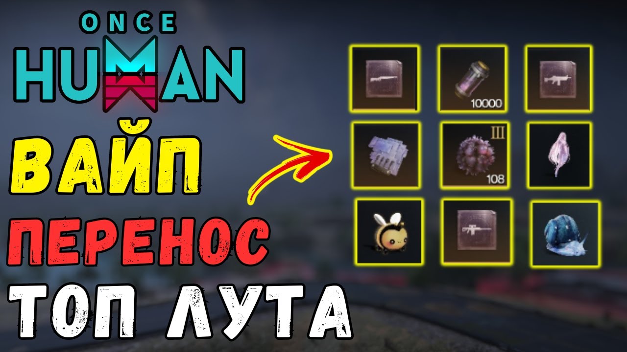 ВАЙП - ЧТО ЛУЧШЕ ПЕРЕНЕСТИ В НОВЫЙ СЕЗОН? ЦЕНЫ/СЕКРЕТЫ и СОВЕТЫ по ТОП переносу лута в новый сезон.