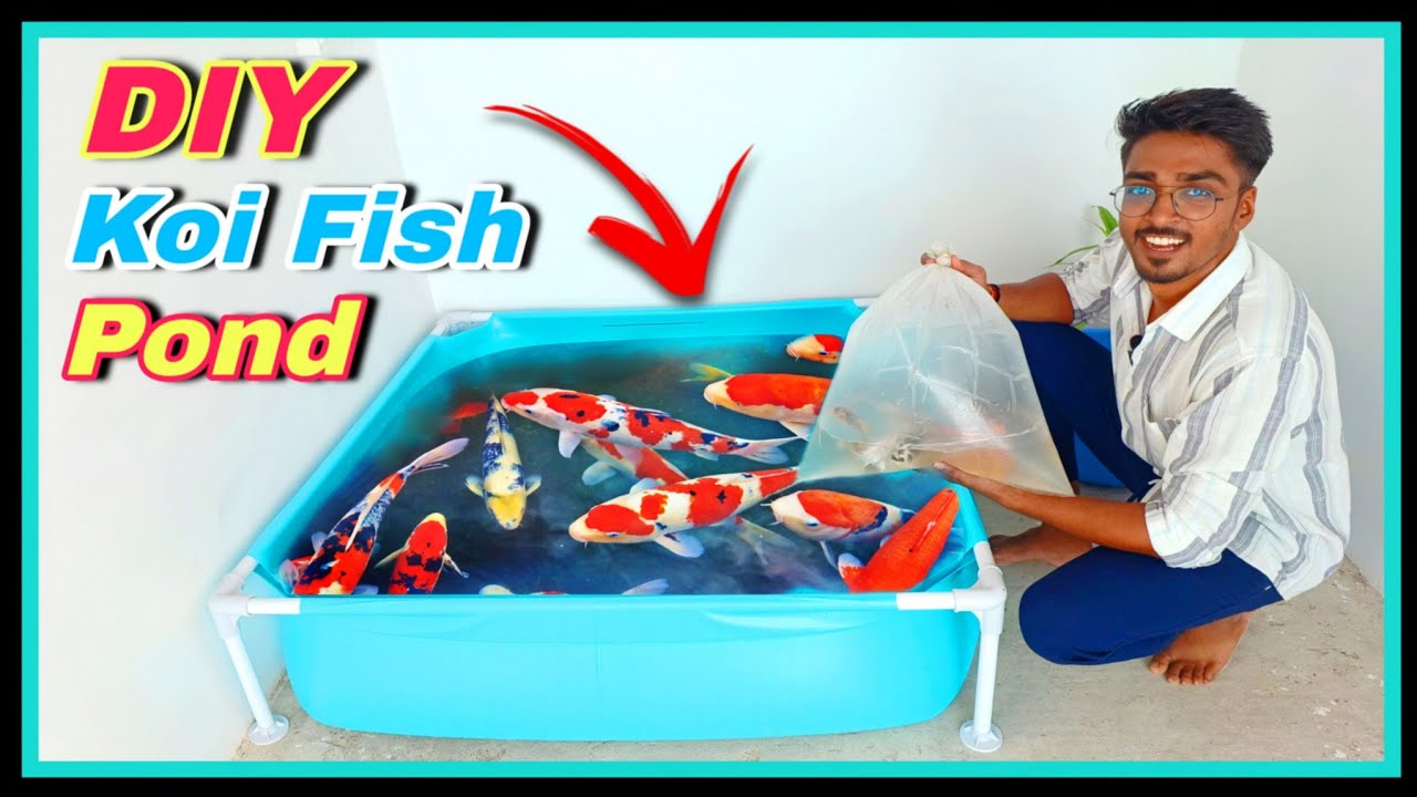 New DIY Koi Fish Pond 🥰 | How to make koi fish pond || DIY Homemade Filter
