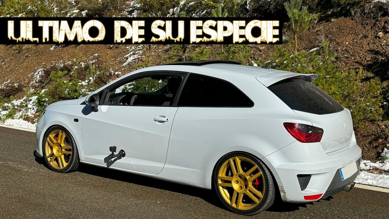 En Peligro de Extinción Seat Ibiza Cupra 1.8 T