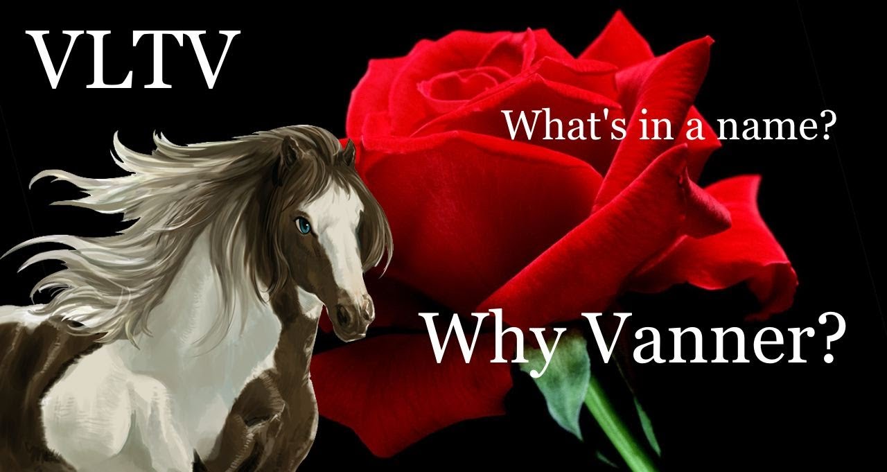 VLTV- The Name Vanner