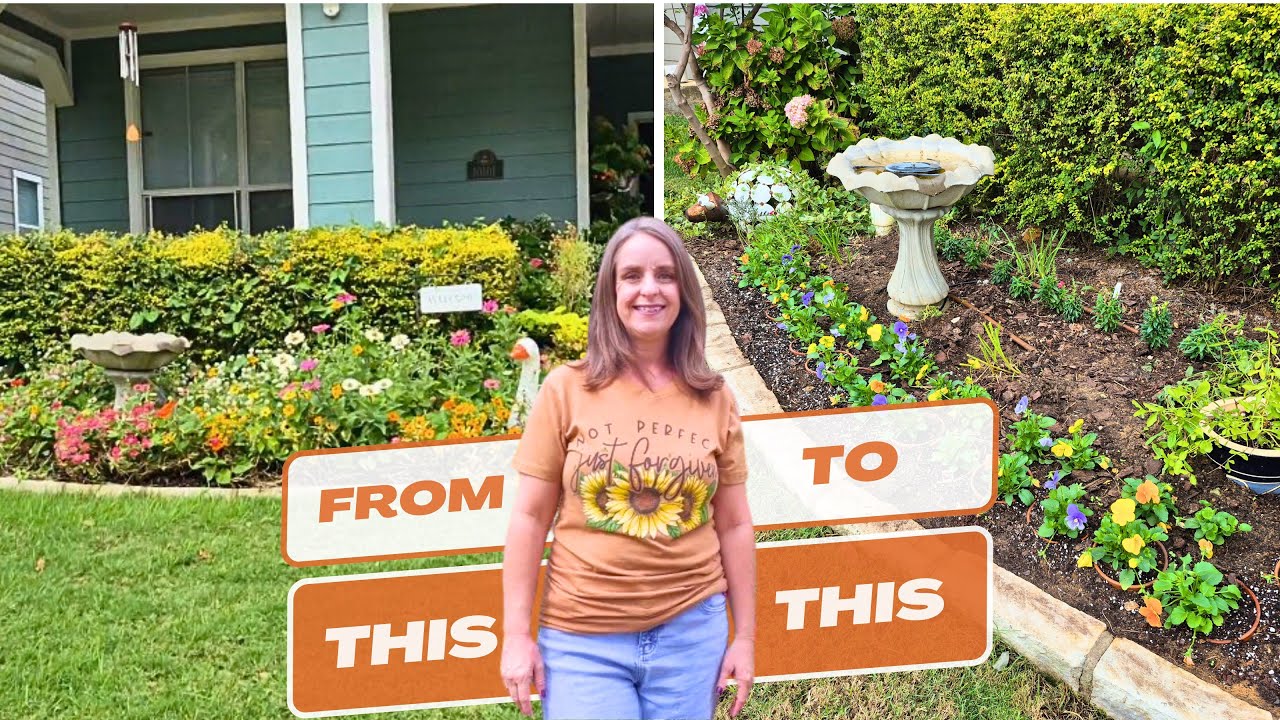 Осенний сад в сиянии! От усталого летнего сада к чистоте осеннего сада!