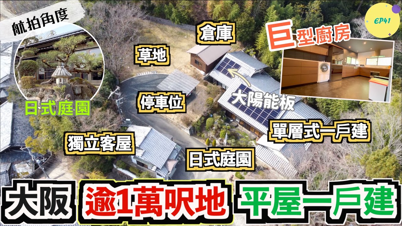 巨人Emanuel睇樓系列EP41｜大阪逾1萬呎地平屋(單層式)一戶建😱巨型廚房+日式庭園🌳🐞櫻花樹🌸還有獨立客屋&太陽能發電板☀️?!