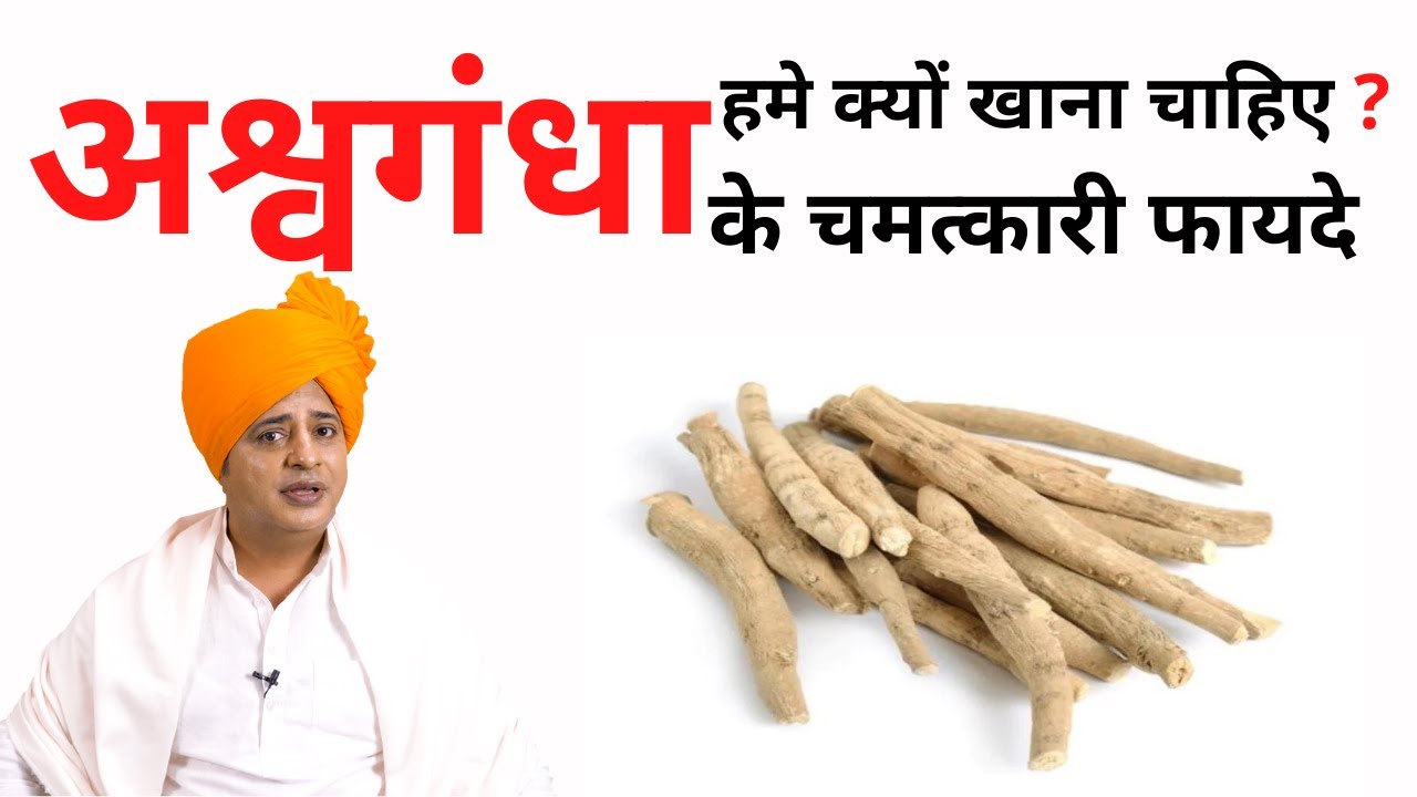 अश्वगंधा के क्या हैं 51 चमत्कारी फायदे ?  || Sanyasi Ayurveda ||
