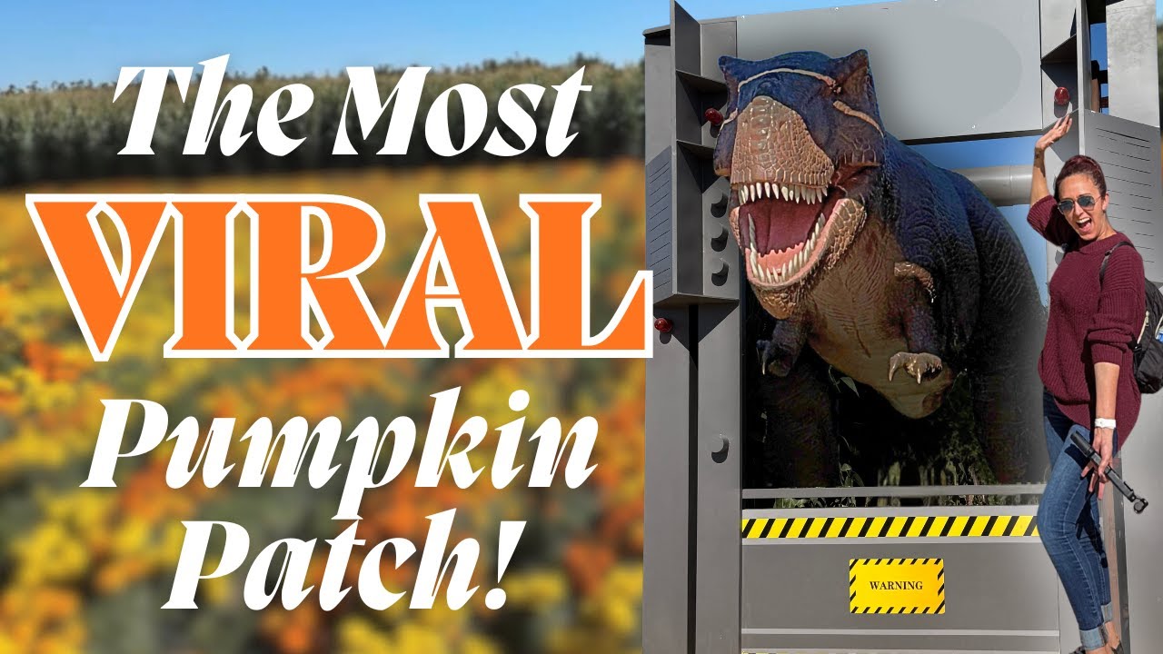 Why THIS Pumpkin Patch Went Viral | Spina Farms Pumpkin Patch 2025