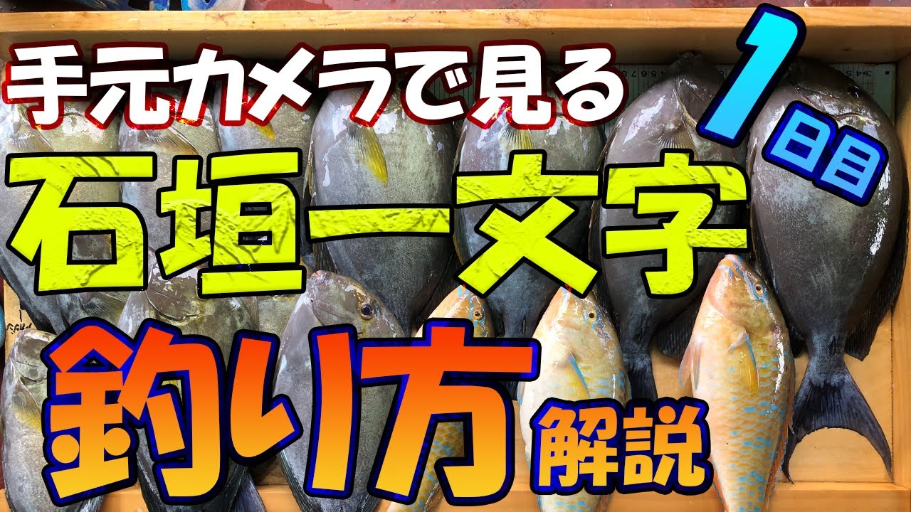 石垣島遠征1日目 ☆石垣一文字白灯台でフカセ釣り☆座布団トカジャーを求めて！