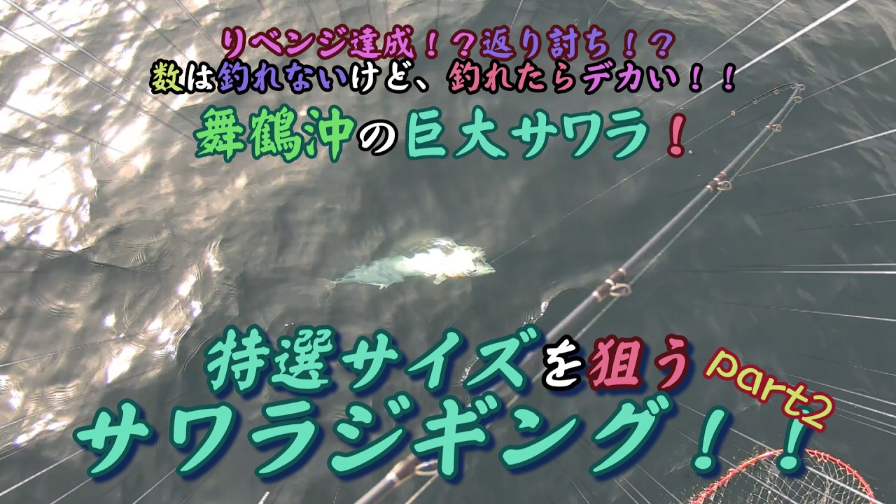 舞鶴沖で特選サイズを狙うサワラジギングpart２