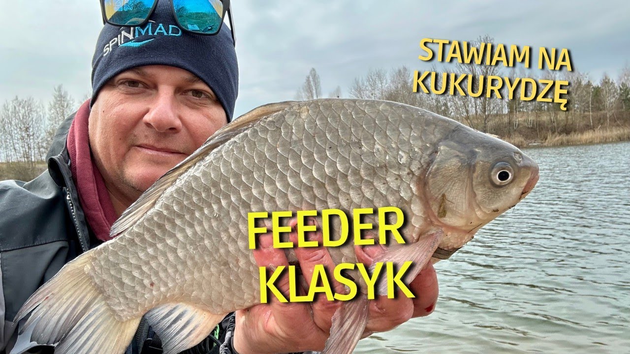 Feeder klasyk - stawiam na kukurydzę 