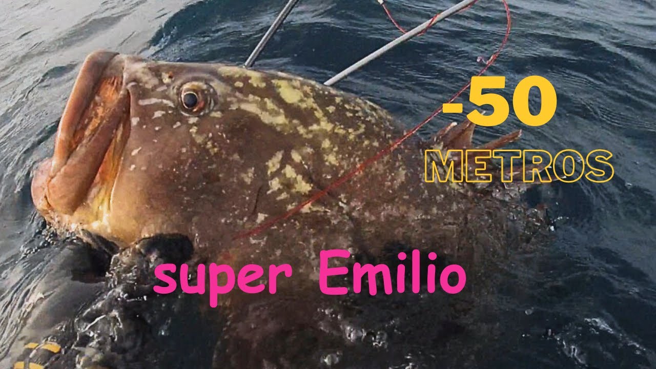 mero a 50 metros de profundidad del pescador Emilio García Teruel , Super Emilio