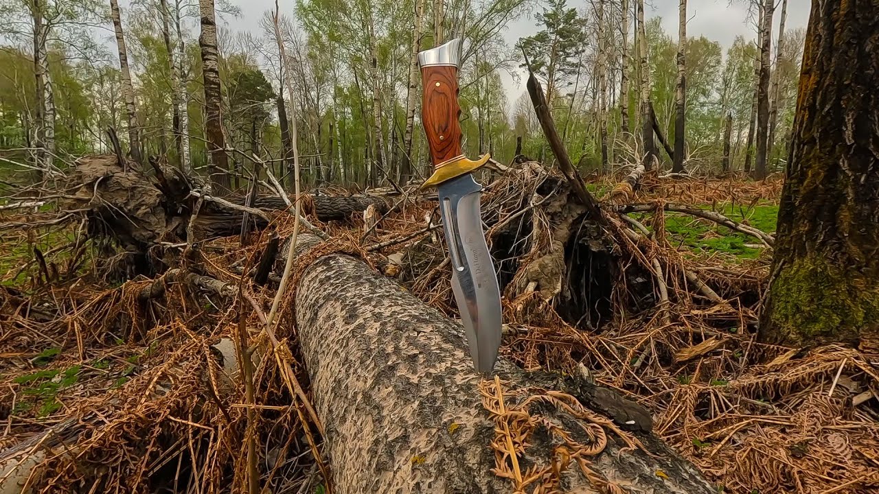 Искали грибы, а нашли рыбу ! Майская рыбалка на реке 