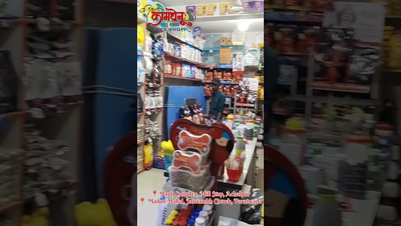 Kamdhenu Pet Shop🐶🐱| Dog,Cat,Fish & Bird |Trusted Pet Shop in Paratwada | Food,Accessories,Aquarium