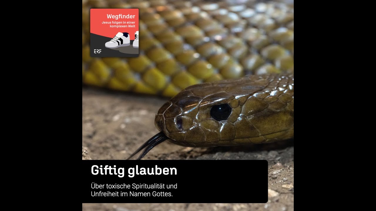 Wegfinder (88): 