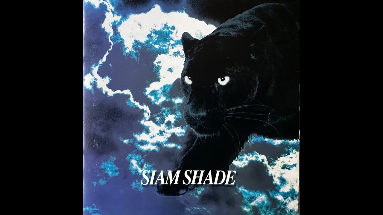 SIAM SHADE   「インディースアルバム」