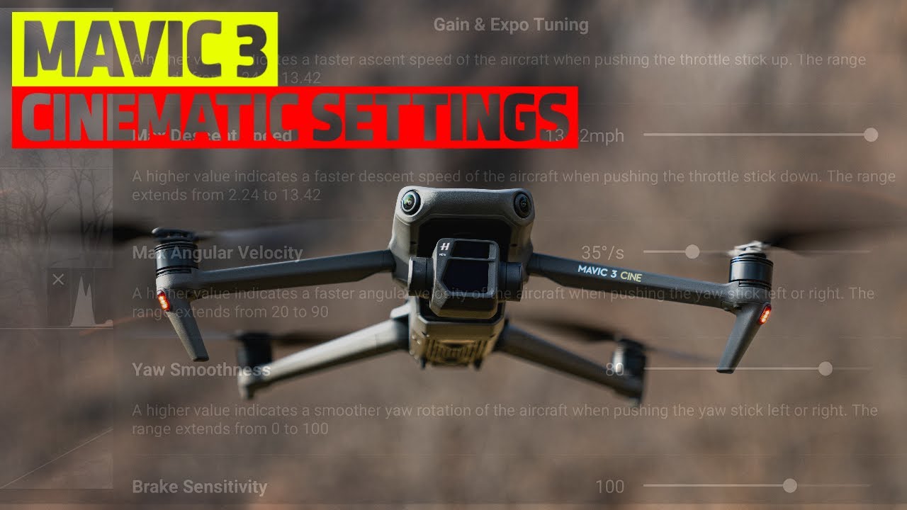 ЛУЧШИЕ НАСТРОЙКИ КИНЕМАТИЧЕСКОГО ПОДВЕСНОГО БАЛАСА 2023 ГОДА — DJI MAVIC 3