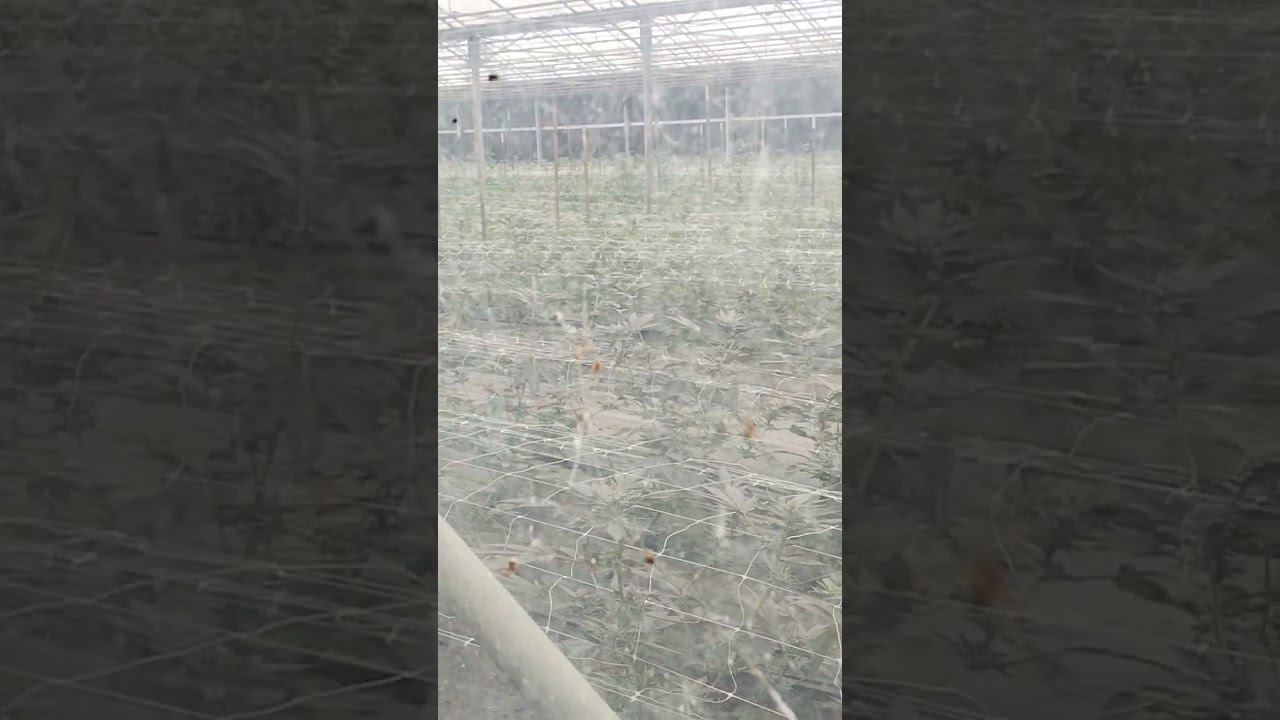 growing season ain't over