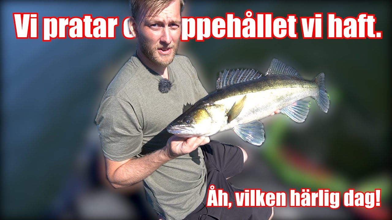 PRATAR OM ALLT & INGET I SAMBAND MED FISKE.