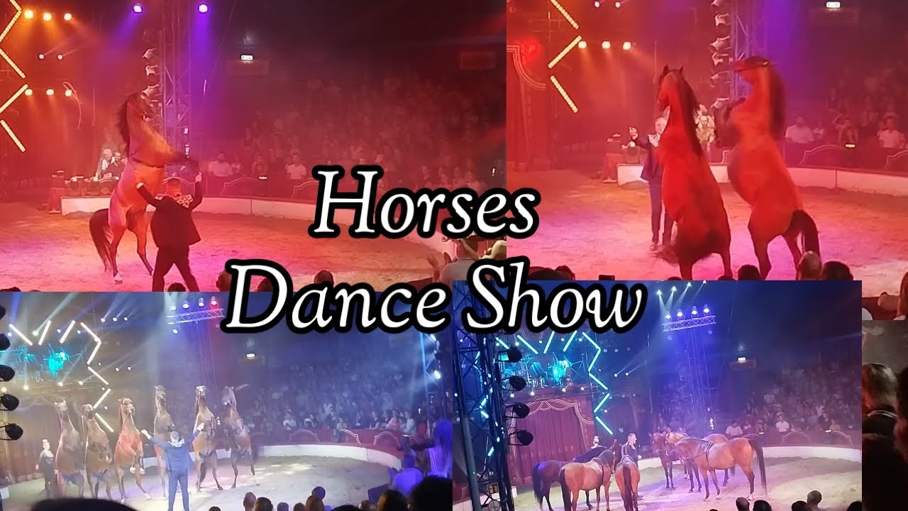 Horses Dance show (Circus Louis Knie) Innsbruck Tirol Austria 🇦🇹