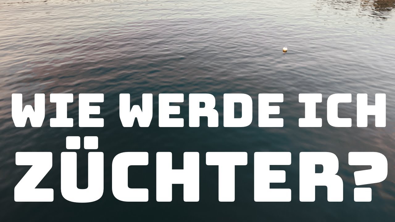 Wie werde ich eigentlich (Buckfast) Züchter?