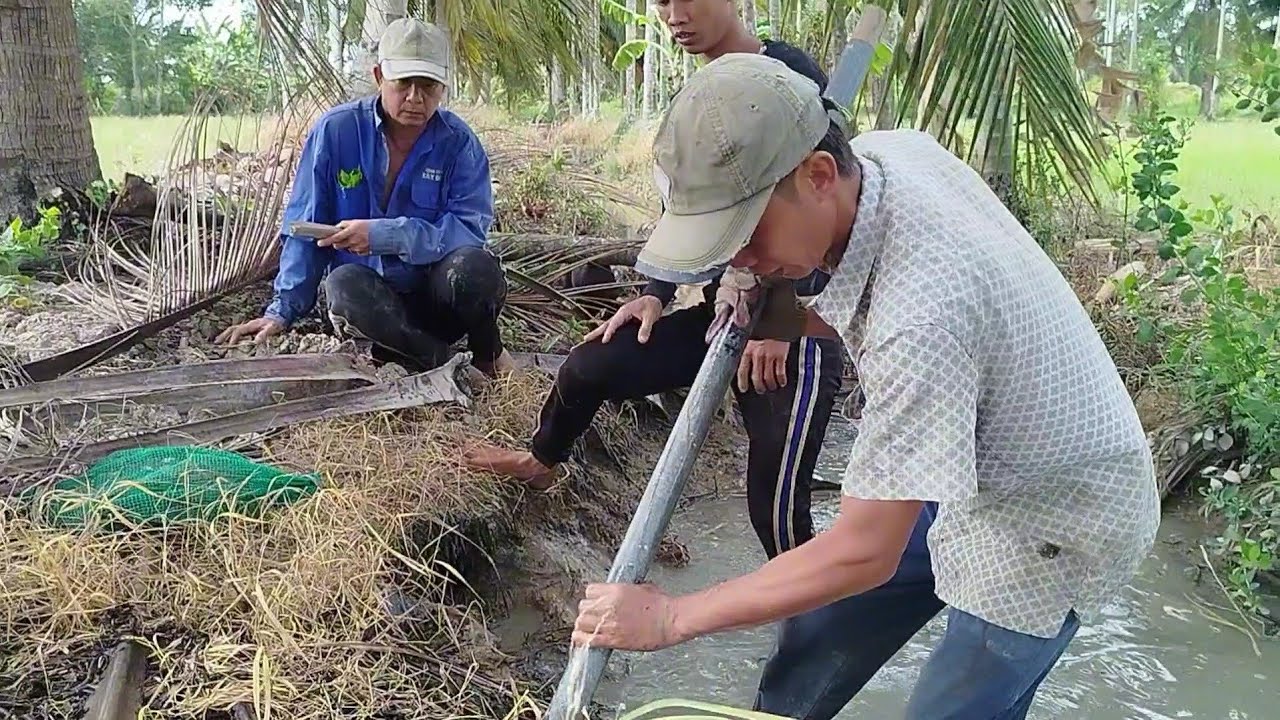 Hôm nay anh em đi săn chuột đồng về nướng / CTMT83 /
