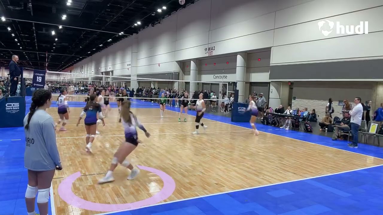 2026 Sunshine Highlights Part 3