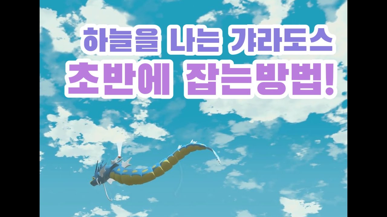 레전드 아르세우스 초반에 갸라도스잡기!