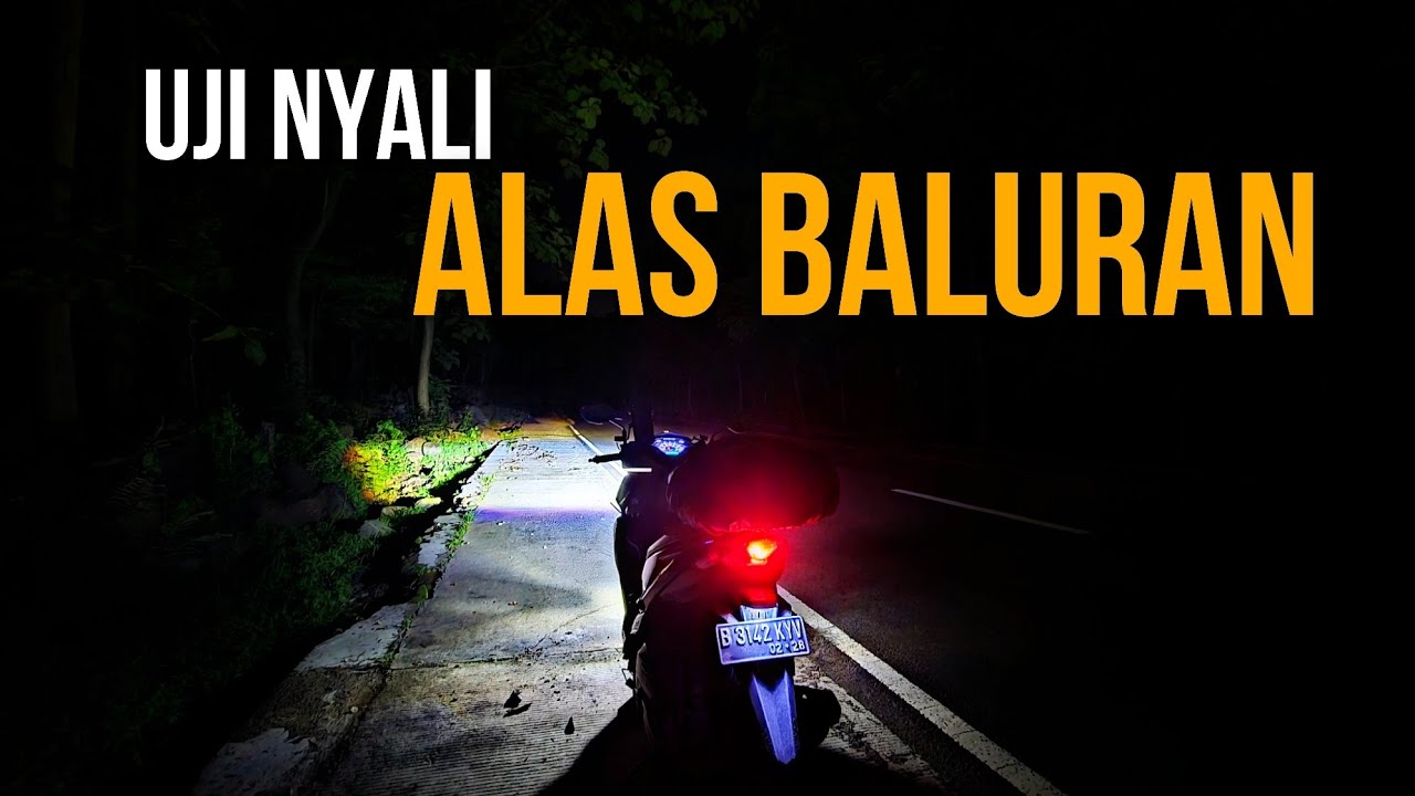 MERINDING❗️Tes Lampu di KEGELAPAN ALAS BALURAN! | Touring Malang - Banyuwangi | Part 1
