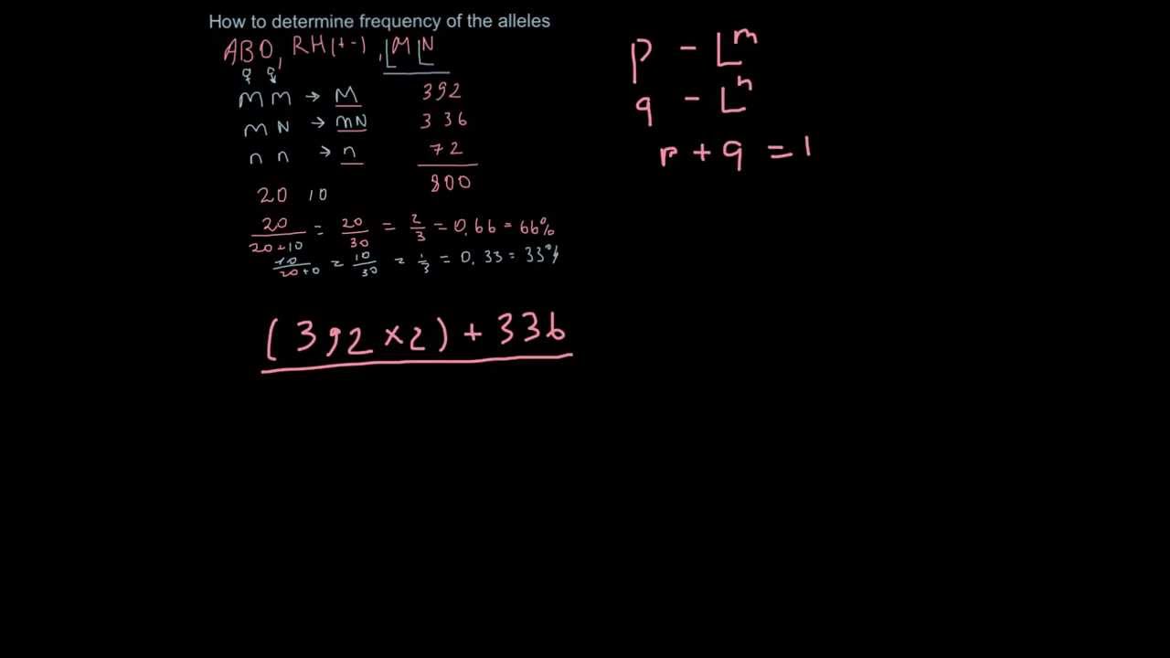 How to determine frequency of the alleles