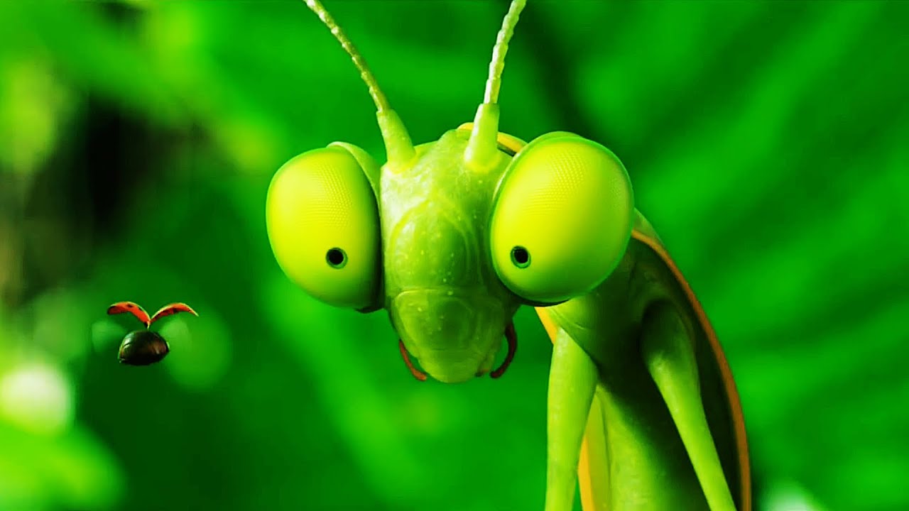 MINUSCULE - MANDBILES FROM FAR AWAY Clip - 