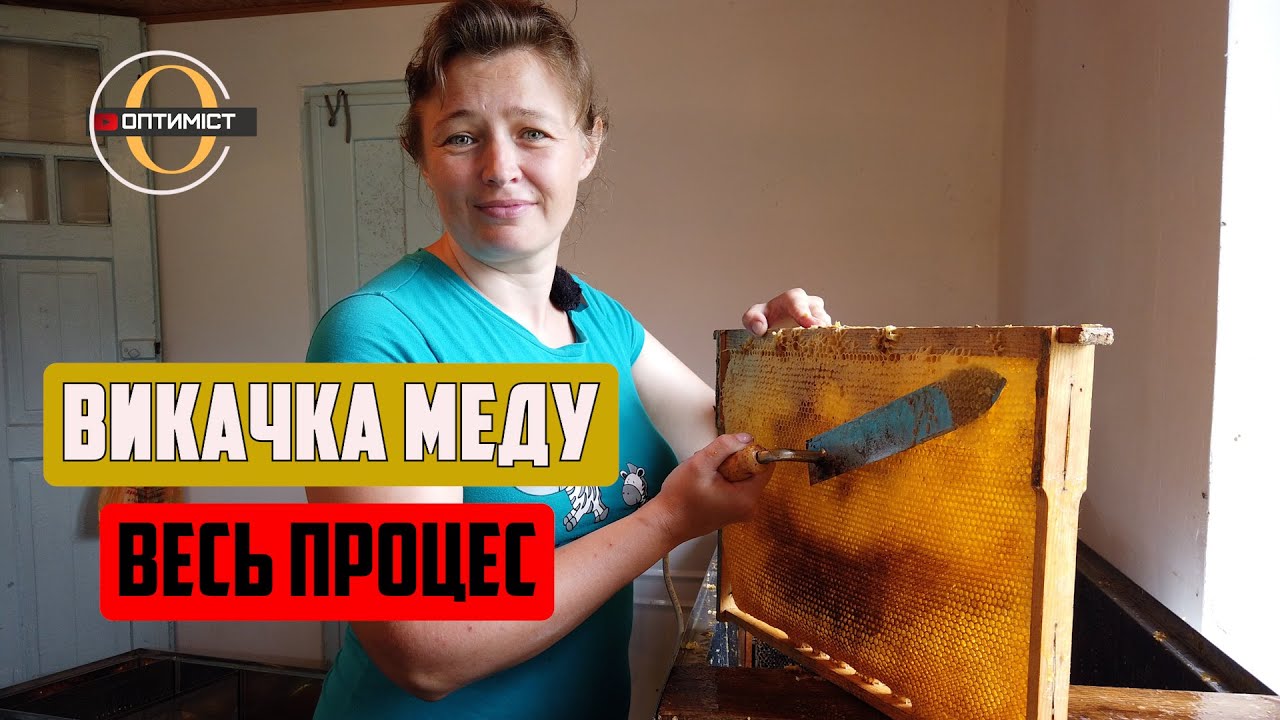 Відбір меду від вуликів до бочок, повний процес/ Оптиміст #32