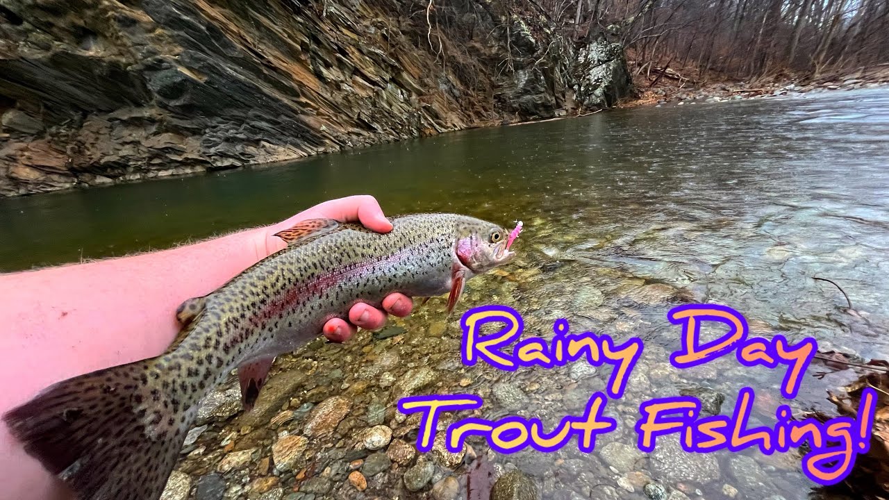 Will TROUT Bite in the RAIN?? (Special Offer for CL Viewers!)