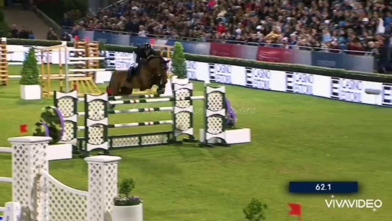 Team// Equestrian Music Video