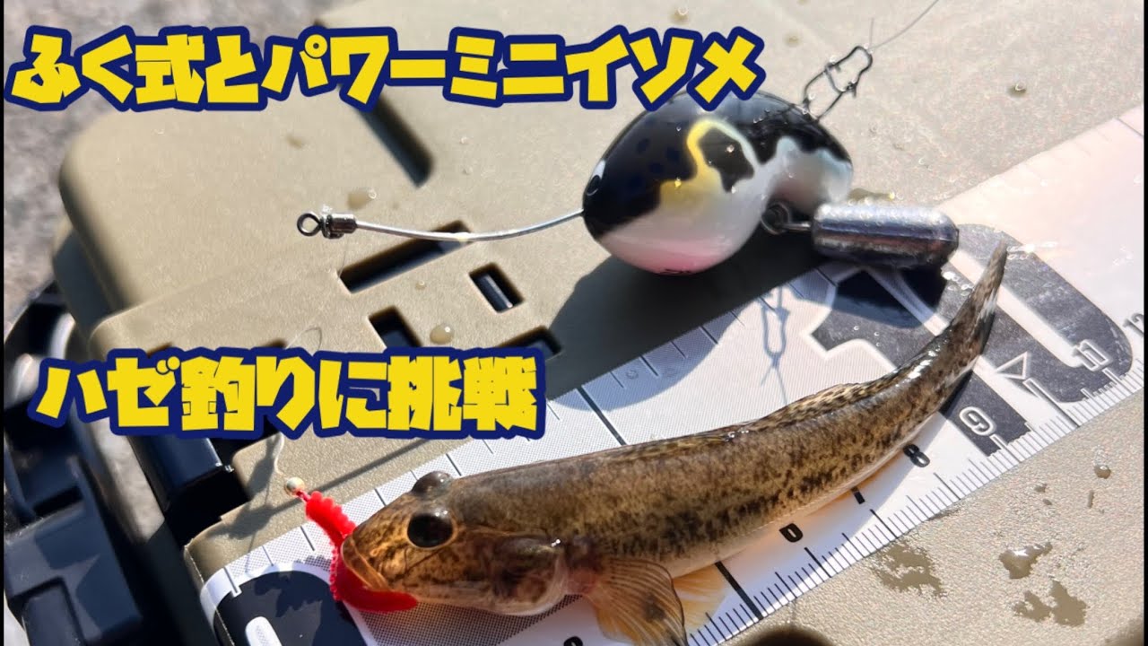 【ダイソーの釣り道具だけで】ダイワの「ふく式」と「パワーミニイソメ」でハゼは釣れるのか？【魚は釣れるのか？】　@yokoicamp 