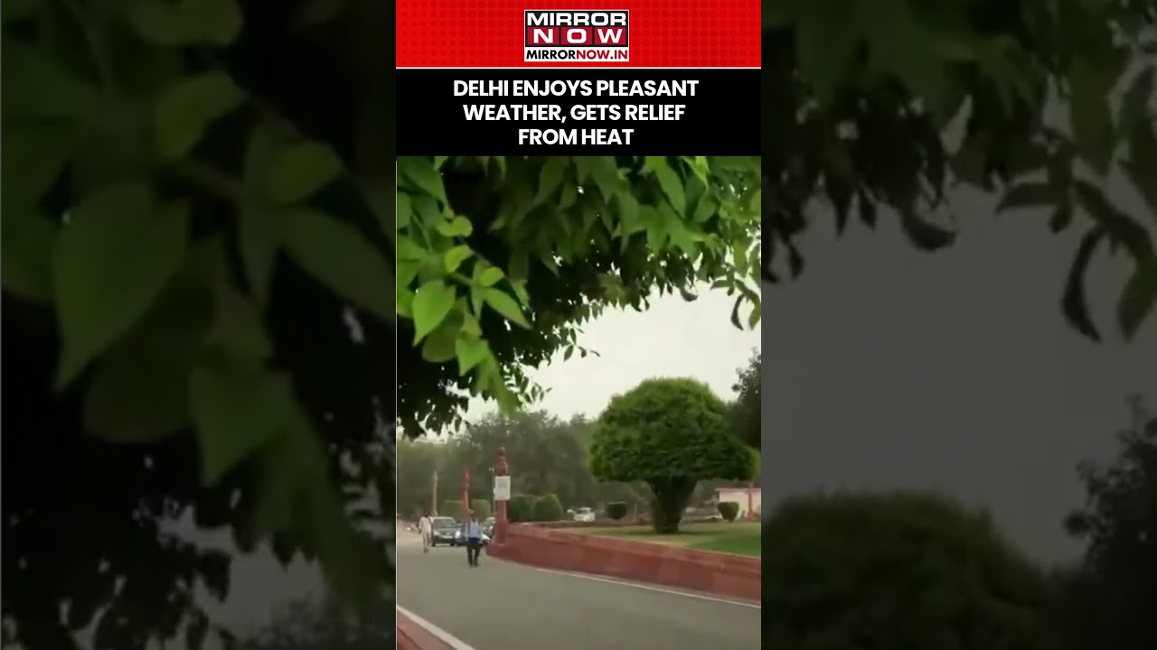 Delhi Enjoys Pleasant Weather, Gets Relief From Rising Temperature #shorts