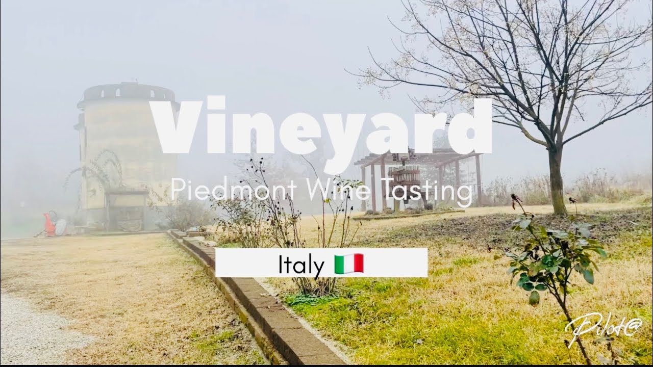 Viaje al interior del Viñedo ValdelPrete en Piemonte Prioca D’Alba Italia 🇮🇹 