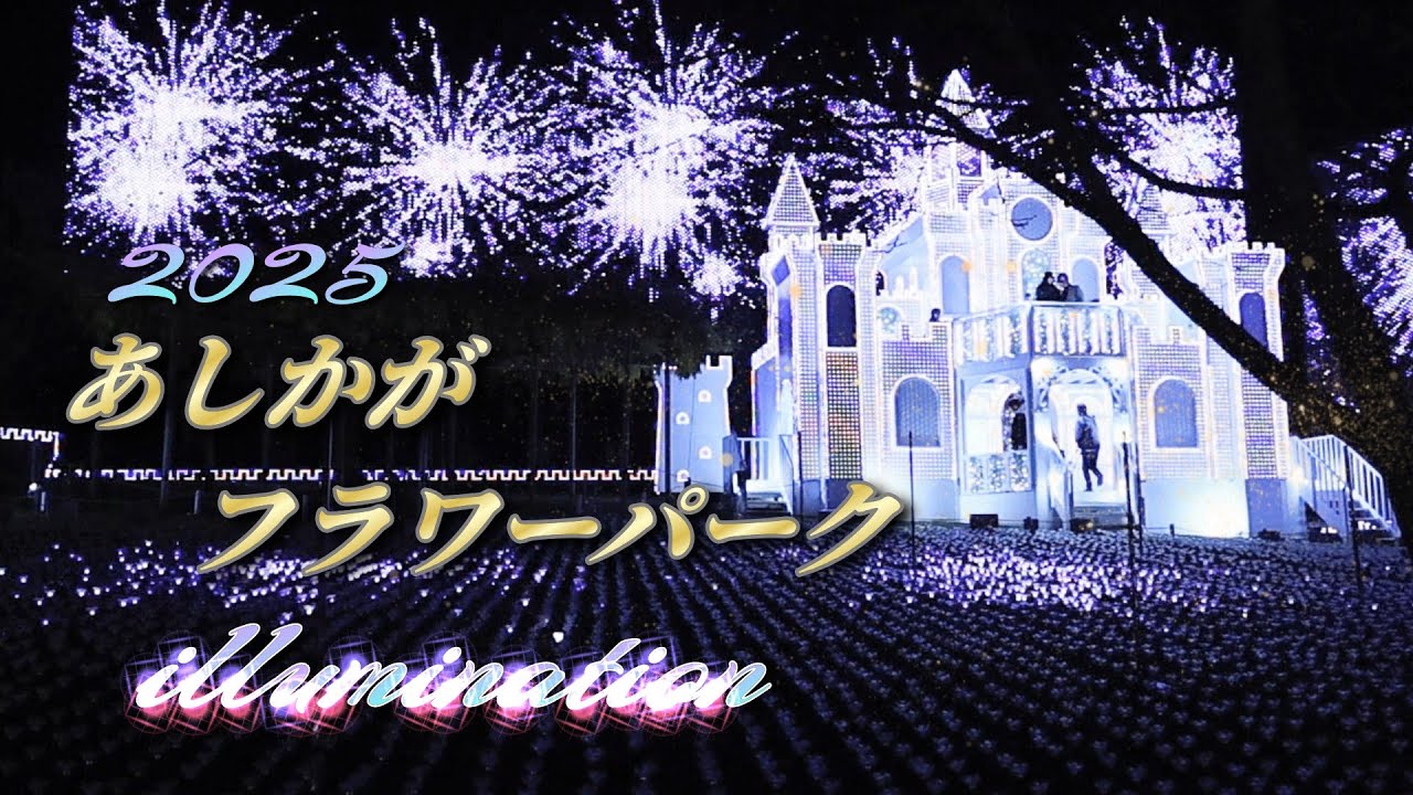 【足利フラワーパーク イルミネーション2025】2025年12月3日 撮影 4K　栃木県足利市