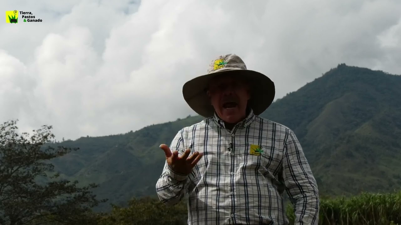Reglas para comprar una finca  &iexcl;Te asesoramos en el proceso!
