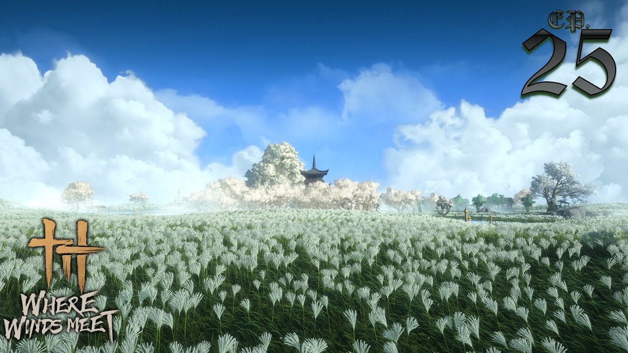 Where Winds Meet : 25