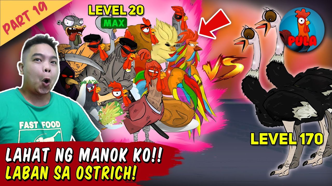 Lahat ng Manok ko Laban sa Ostrich! - Manok na Pula Part 19
